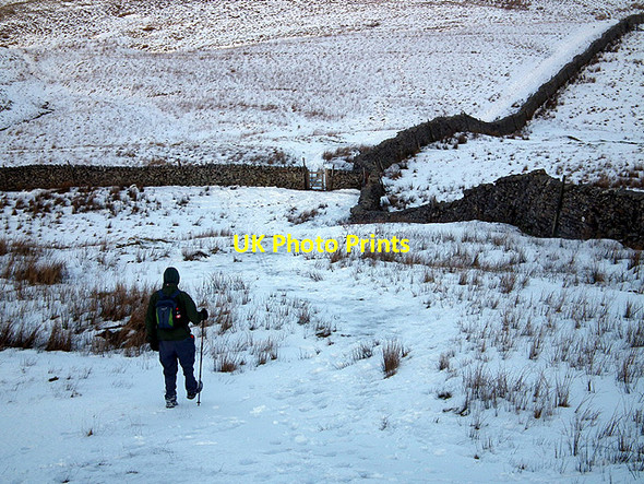 Photo 6"x4" Heading towards the gate at Fell Close Ribble Head\/SD7779 c2012