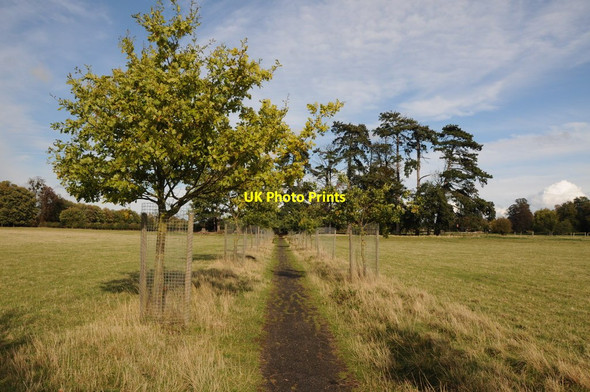 Photo 6"x4" Footpath to Wick Pershore c2011