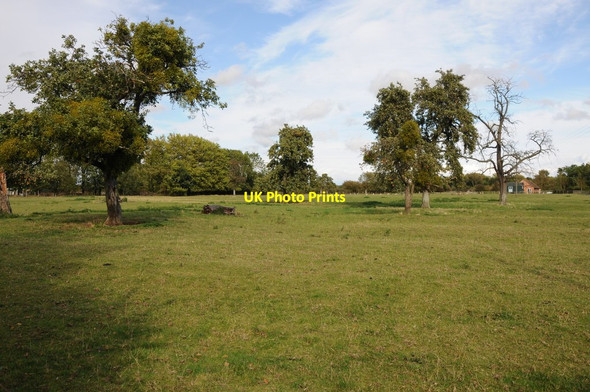 Photo 6"x4" Old orchard in Wick Pershore c2011