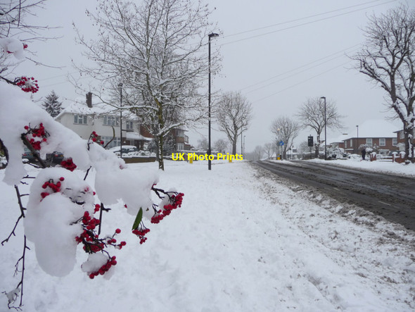 Photo 6"x4" Prince George Avenue, London N14 Southgate\/TQ3094 c2012