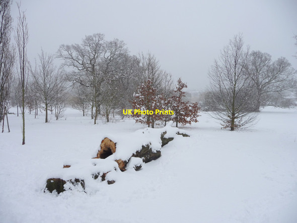 Photo 6"x4" Oakwood Park, London N14 Southgate\/TQ3094 c2012 P1