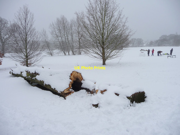 Photo 6"x4" Oakwood Park, London N14 Southgate\/TQ3094 c2012 P2