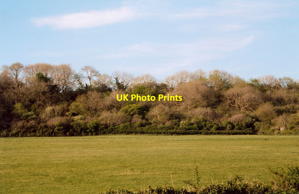 Photo 6"x4" Wood by Wig Fach Porthcawl c2008