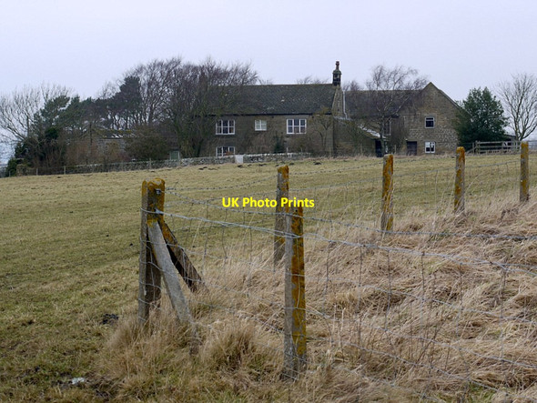 Photo 6"x4" Nesbitt Hill Head Harlow Hill\/NZ0768 c2012
