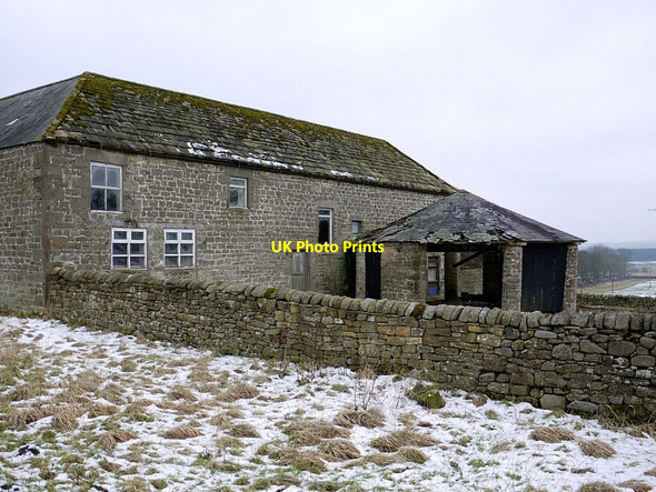 Photo 6"x4" Derelict gin-gang at rear of Nesbitt Hill Head Harlow Hill\/NZ0768 c2012