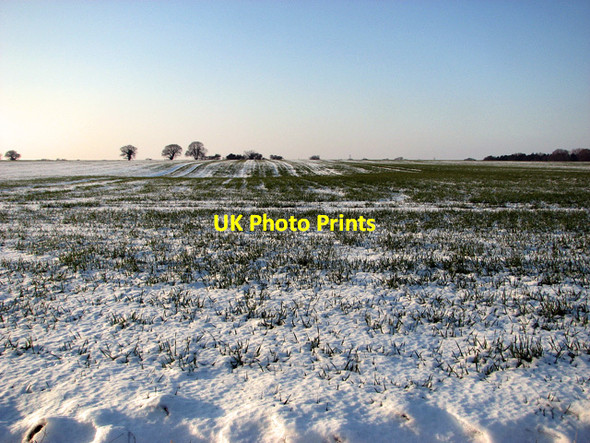Photo 6"x4" Snowy field east of Coles Green Farm Mace Green c2012