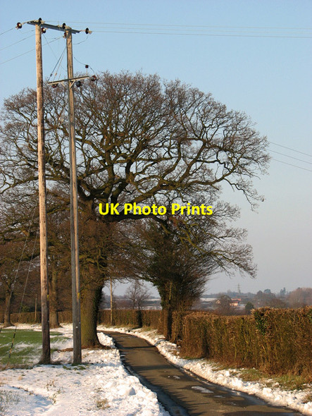 Photo 6"x4" Telegraph poles on Wood's Hill, Washbrook Chattisham c2012