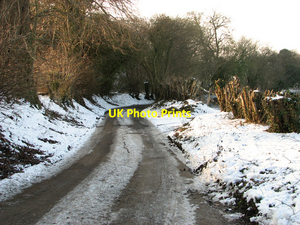 Photo 6"x4" Descending Wood's Hill Chattisham c2012