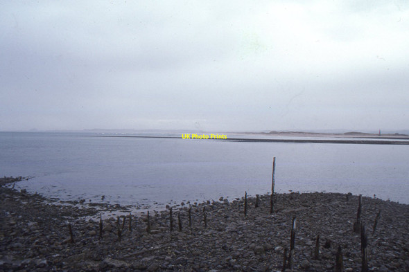 Photo 6"x4" Holy Island: looking south across the Harbour Holy Island\/NU1241 c1996