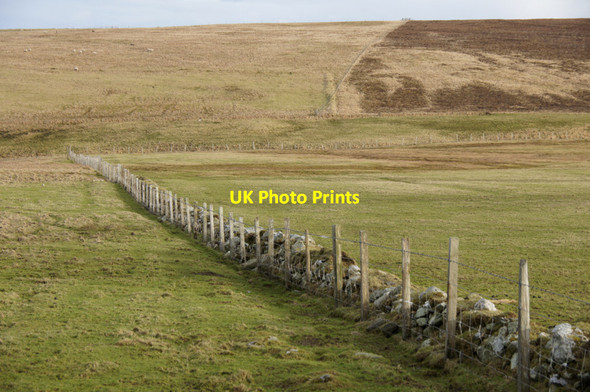 Photo 6"x4" Fence at Hannigarth, Unst Mailand c2012