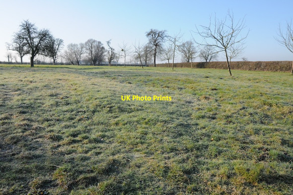 Photo 6"x4" Orchard near New Moreton Farm Standish\/SO8008 c2012