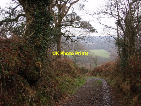 Photo 6"x4" Cilffordd Glynhir Byway Llandyfan c2012