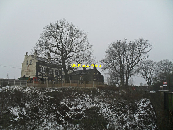 Photo 6"x4" The Strawbury Duck Edge Fold\/SD7218 c2012