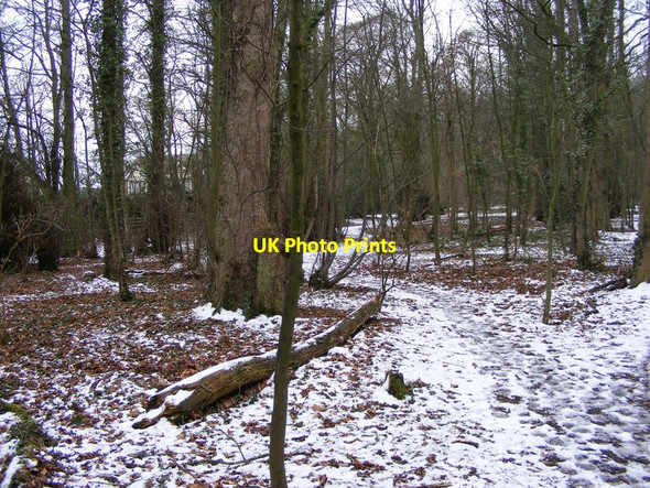 Photo 6"x4" Himley Path Himley c2012