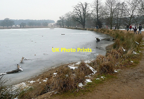 Photo 6"x4" Causeway across Pen Ponds Kingston Upon Thames c2012