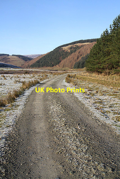 Photo 6"x4" The road to Muttonhall Dryhope c2012