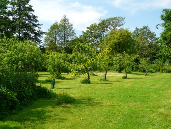 Photo 6"x4" Middleton Hall - The Orchard Cliff\/SP2098 c2008