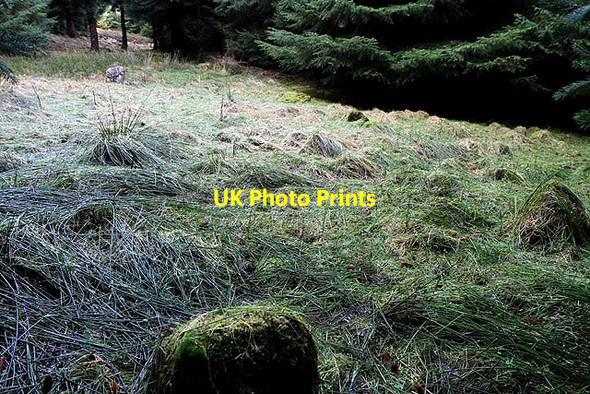 Photo 6"x4" A stone setting on Bught Rig Dryhope c2012