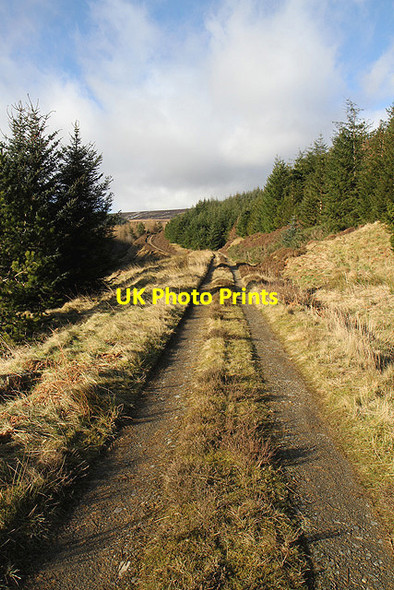 Photo 6"x4" A forestry road at Bught Rig Whiteknowe Head c2012