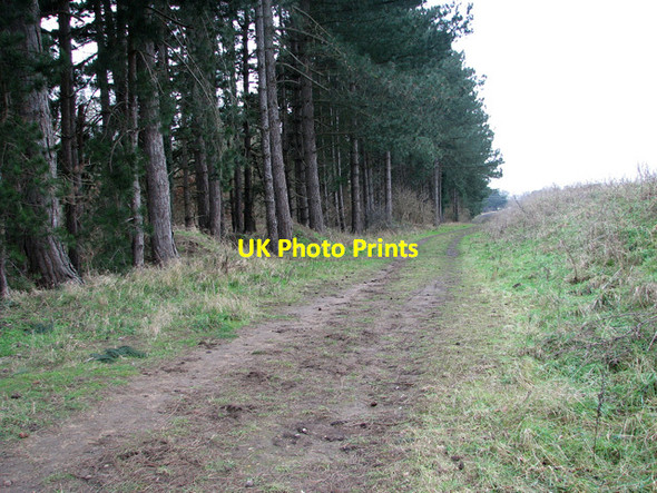 Photo 6"x4" Public footpath past Waldringfield quarry Waldringfield Heath c2012