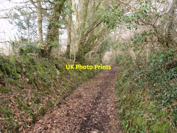 Photo 6"x4" Hen heol Llandybie old Road Llandybie c2012