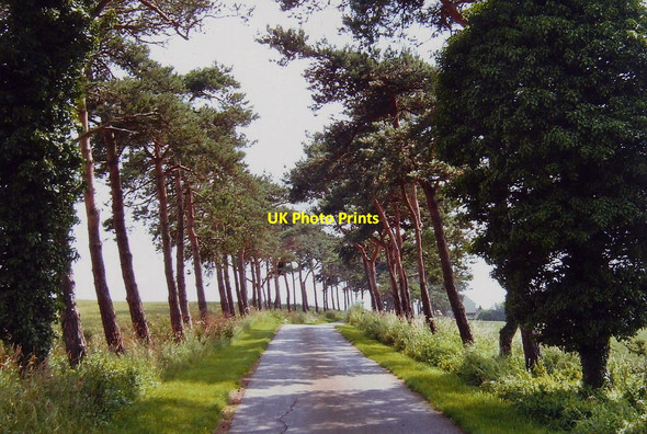 Photo 6"x4" Access road to Herne Poplar, Toddington, Beds. Toddington\/TL0028 c2005