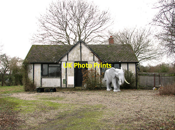 Photo 6"x4" The elephant cottage, Shadingfield Shadingfield c2012