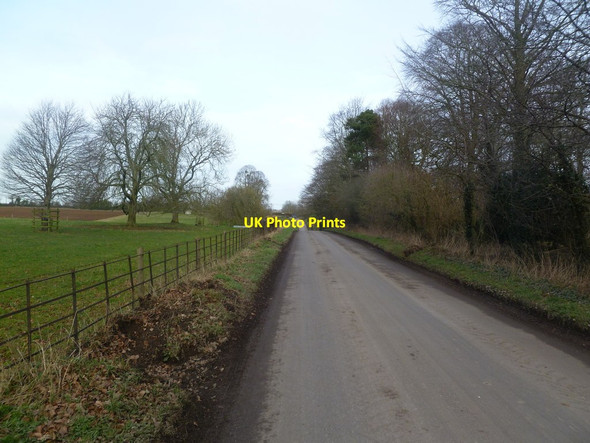 Photo 6"x4" Moor Crichel, Longman's Road More Crichel c2012