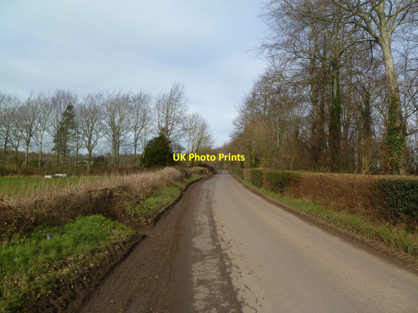 Photo 6"x4" Witchampton, Crichel Lane New Town\/ST9907 c2012
