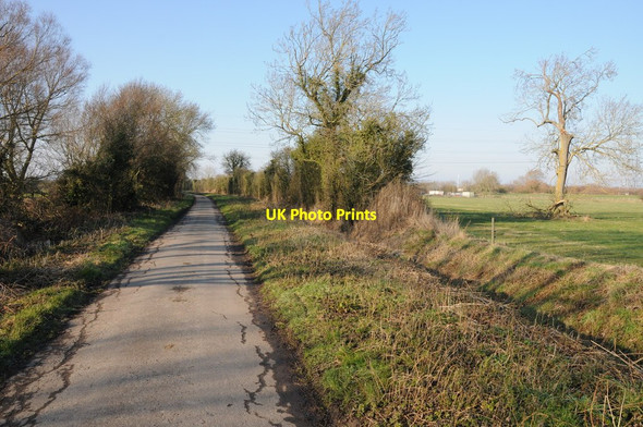 Photo 6"x4" Ryalls Lane Shepherd's Patch c2012