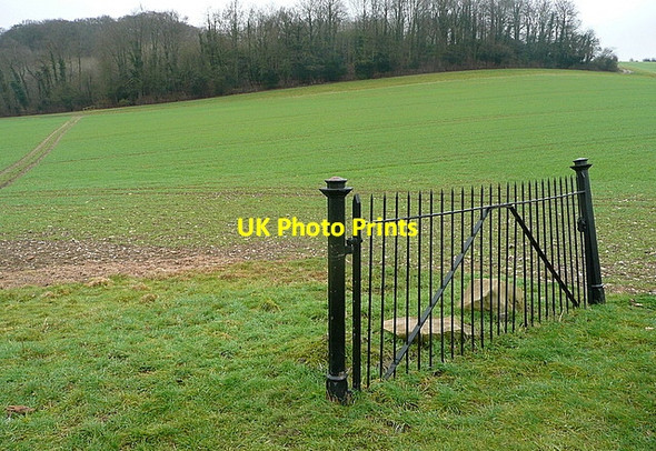 Photo 6"x4" A gate for going round Towerage c2012