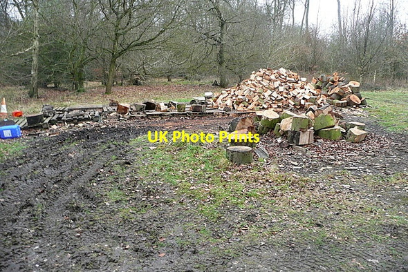 Photo 6"x4" Woodland clearance Booker c2012