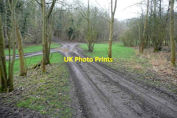 Photo 6"x4" Junction in Hellbottom Wood Towerage c2012