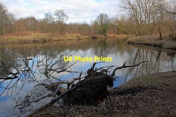 Photo 6"x4" River Wear Hunwick c2012