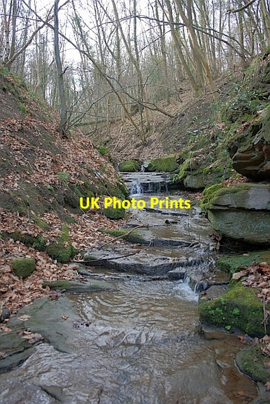 Photo 6"x4" Hunwick Gill Willington\/NZ1935 c2012