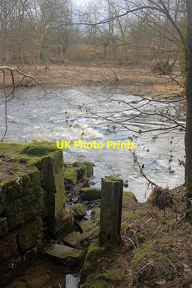 Photo 6"x4" Remains of Gate on Old Race to Furness Mill Willington\/NZ1935 c2012