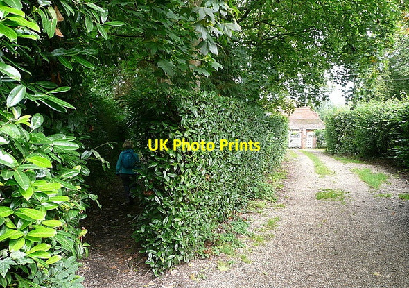 Photo 6"x4" Footpath entrance Beacon Hill\/SU9093 c2011