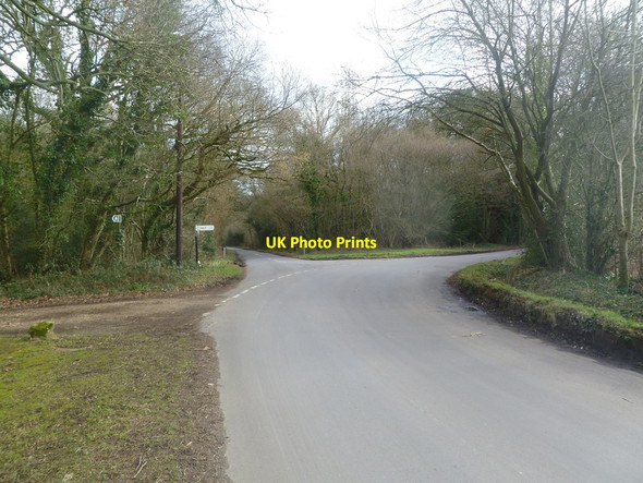 Photo 6"x4" Holt Wood, road junction Holt Wood\/SU0305 c2012