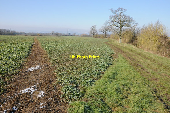 Photo 6"x4" Footpath to Frampton on Severn Claypits\/SO7605 c2012