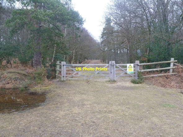 Photo 6"x4" Burley Moor, gates Burley\/SU2103 c2012