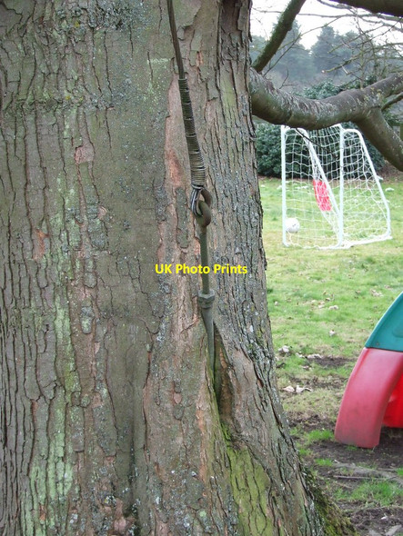 Photo 6"x4" Telegraph Pole Support Wire Herringswell c2012