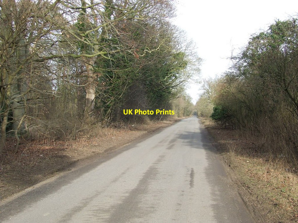 Photo 6"x4" Country Road Herringswell c2012