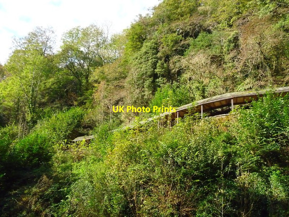 Photo 6"x4" Wookey Hole - Walkway Wells c2011
