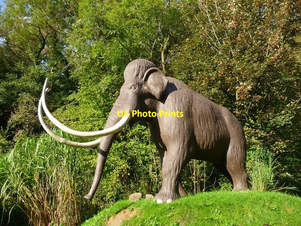 Photo 6"x4" Wookey Hole - Mammoth Wells c2011