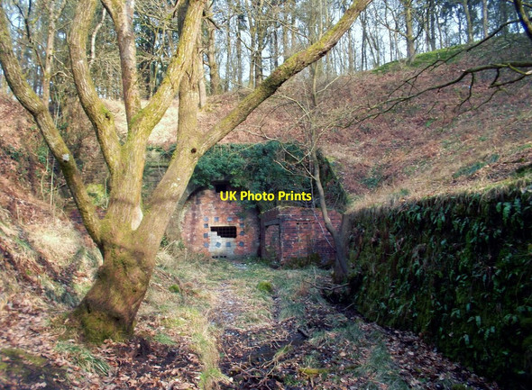 Photo 6"x4" Moseley Green Tunnel Yorkley c2012