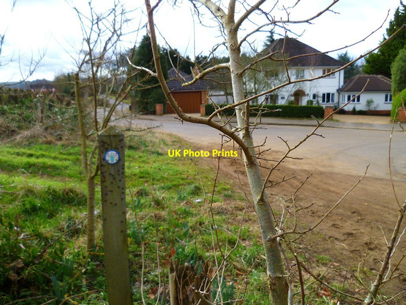 Photo 6"x4" Path south from the North Downs Way (2) Guildford c2012