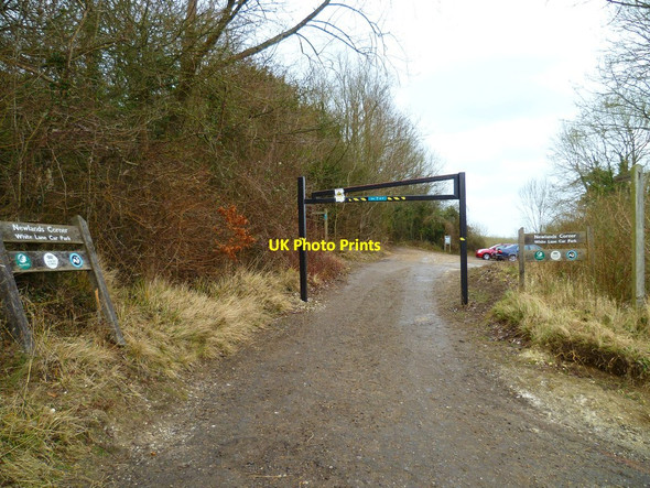 Photo 6"x4" Entrance to White Lane Car Park Newlands Corner c2012
