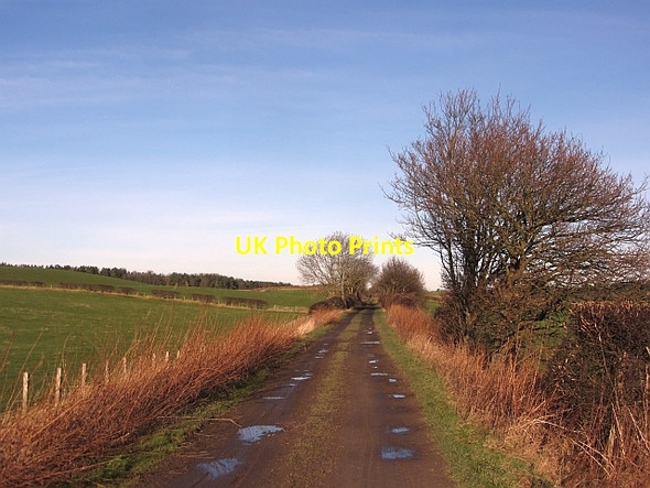 Photo 6"x4" Jedburgh Railway trackbed Eckford c2012