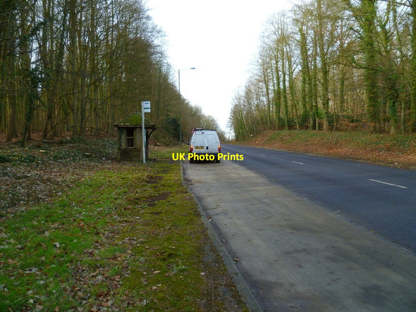 Photo 6"x4" Bus stop on Epsom Road south of Clandon Park Newlands Corner c2012