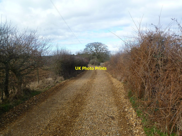 Photo 6"x4" Harbridge, farm road Bleak Hill c2012